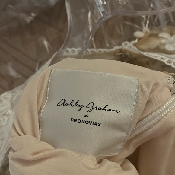 PRONOVIAS/ Ashley Graham. Size 6 - Picture 5 of 5